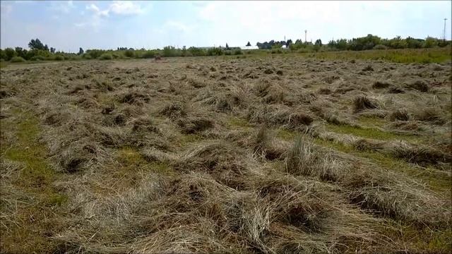 Сенокос 2020. Новые грабли" Харвест". смотреть онлайн