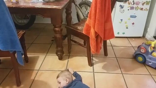 Выпускание птенца на волю, приучение к самостоятельности. Голубь смотреть онлайн