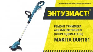 Замена двигателя в триммере аккумуляторном Makita DUR181 в сервисном центре Энтузиаст-сервис