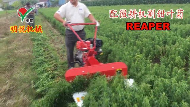 041 Stevia Reaper harvesting machine whatsapp: +8618262494472 смотреть онлайн