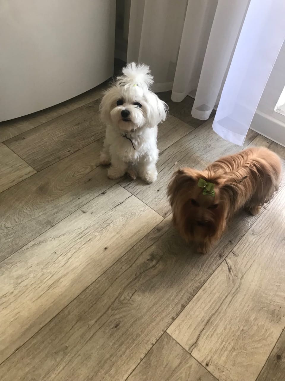 2 подружки смотреть онлайн