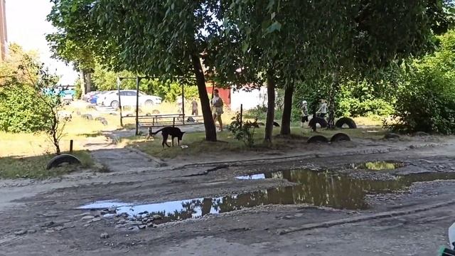 МЕНЯ ЗАКИДАЛИ ТАПКАМИ. ГРИБЫ ПОД ОКНОМ. НЕДОРОГОЙ ОТДЫХ У МОРЯ #kurnosiklife #волжск #море смотреть онлайн