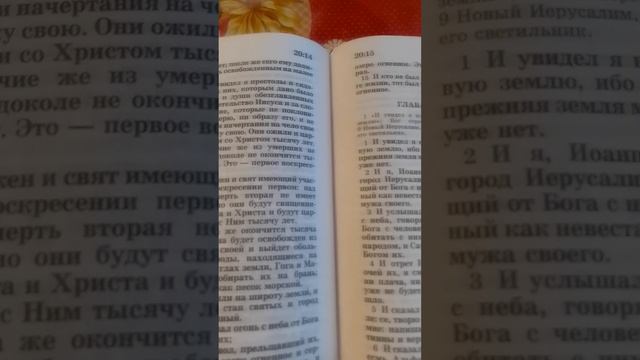 кто будут участниками первого воскресения ответ в книге откровения 20 главе смотреть онлайн