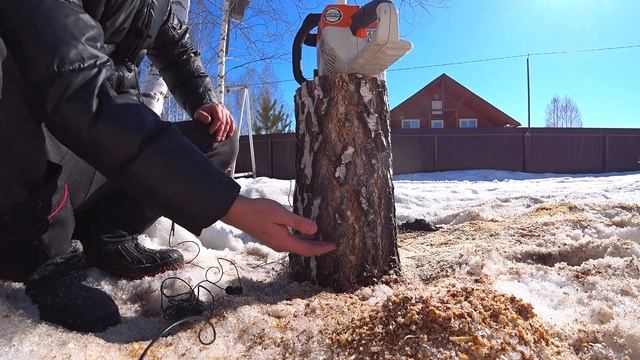 Альтернатива бензопиле - Аккумуляторная цепная пила STIHL, тест на толстом дереве смотреть онлайн
