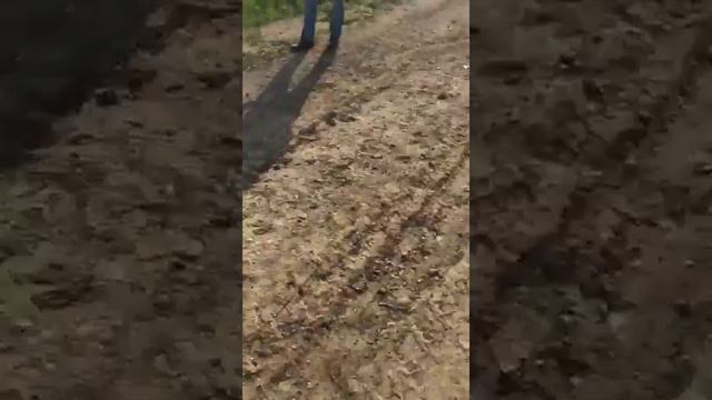 Отказненское водохранилище 29 мая 2017 смотреть онлайн