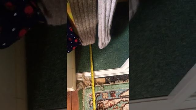 Wardrobe storage смотреть онлайн