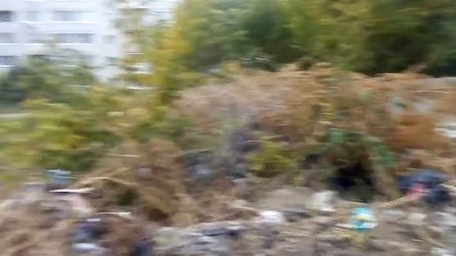 Саратов, Заводской район. смотреть онлайн