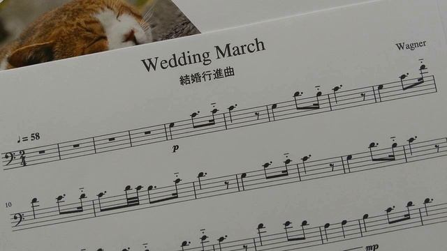 ワグナー「結婚行進曲」チェロ演奏用 / Wagner "Wedding March" for cello players смотреть онлайн
