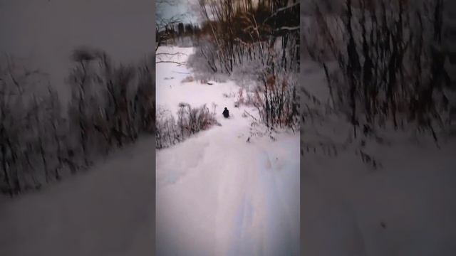 Дрифт на снегокате с горы #дрифт #снегокат смотреть онлайн