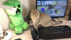 ГРИФЕР РАЗБИЛ МНЕ КАМЕРУ В РЕАЛЬНОЙ ЖИЗНИ ИЗ-ЗА МАЙНКРАФТ!| АНТИ-ГРИФЕР ШОУ #204