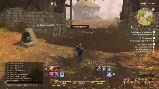 Final fantasy XIV: A realm reborn starter zone archer gameplay смотреть онлайн