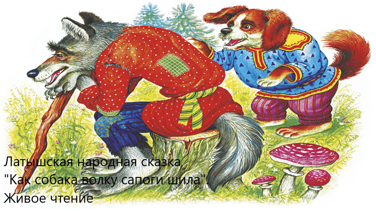 Латышская народная сказка "Как собака волку сапоги шила". Живое чтение смотреть онлайн
