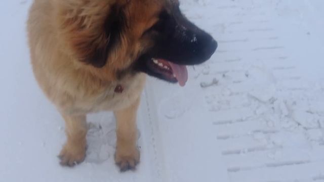 My Morning Routine/Мое утро :3