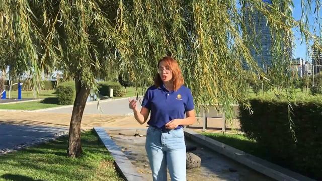 Учим Делать с Ответственностью