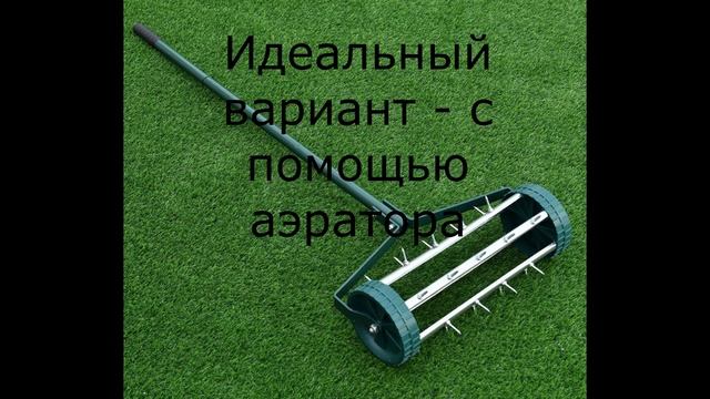 Подготовка газона к зиме. 3 ключевых пункта смотреть онлайн
