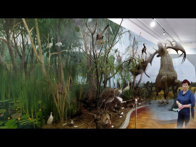 ПОСЕЩЕНИЕ КРАЕВЕДЧЕСКОГО МУЗЕЯ, АСТРАХАНЬ ЧАСТЬ 1