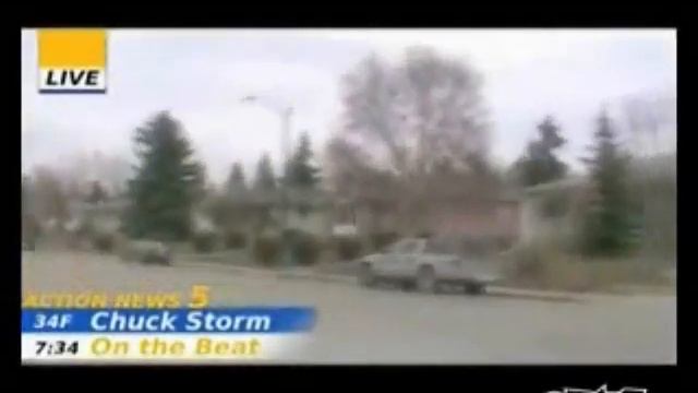 Chuck Storm Walks Into A Poll смотреть онлайн