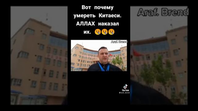 Вот почему умрает Китайцы. Аллох наказал их смотреть онлайн