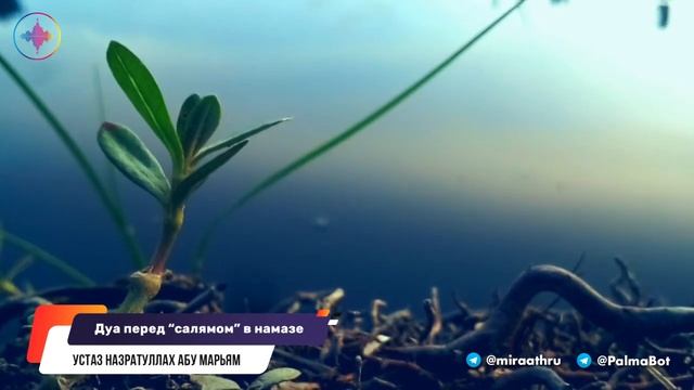 Дуа перед салямом в намазе | Устаз Назратуллах Абу Марьям