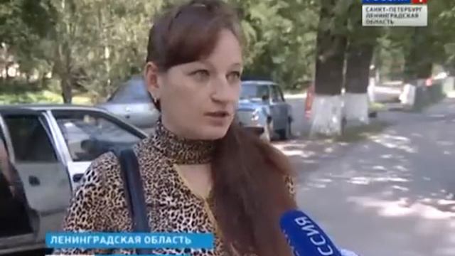 "Народная экспертиза" побывала в Шлиссельбурге смотреть онлайн