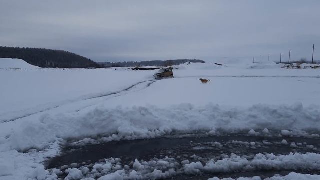 Ока 4×4 с лопатой смотреть онлайн