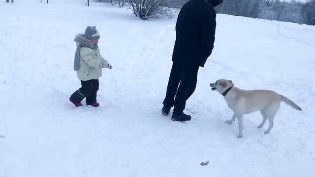 Лабрадор и ребёнок. Прогулка после учебы смотреть онлайн