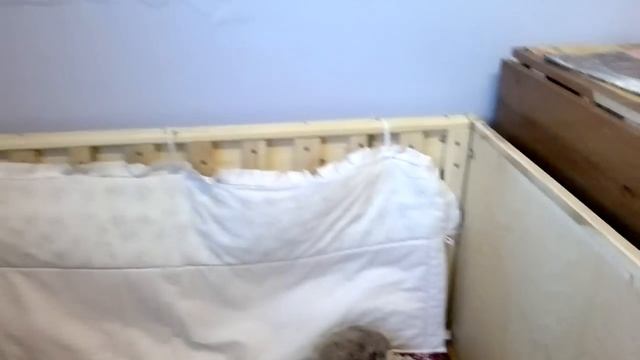 манеж своими руками смотреть онлайн