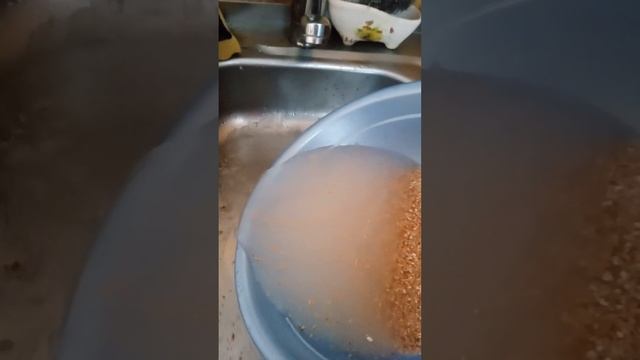 Дієтичний суп з кролика смачно просто та корисно @ProstiRetsepty