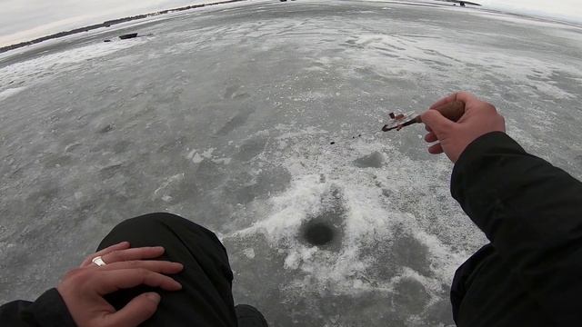 Крупная морская плотва на Гореморе! Ловля на безмотылку. Зимняя рыбалка последний лед 2020 смотреть онлайн