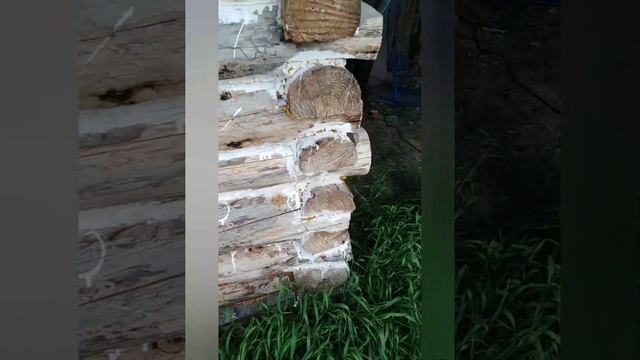 Как построить сруб легко и без дорогих вложений. Пчелильник своими руками. Лайфхак по стройке смотреть онлайн