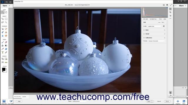 Learn How to Use the Camera Raw Dialog Box in the Editor Photoshop Elements 2022 Training Tutorial смотреть онлайн
