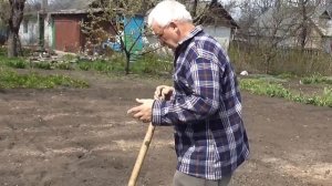 Посадка картошки в ручную. Картошка на даче