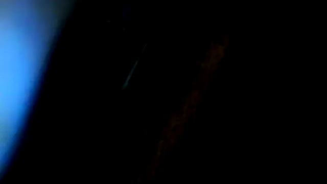 Западок(ловушка)для птиц смотреть онлайн