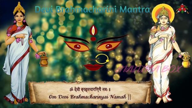 Navaratri Mantra Day 2 |Devi Brahmacharini Mantra|108 Times|नवरात्रि मंत्र | देवी ब्रह्मचारिणी मंत्