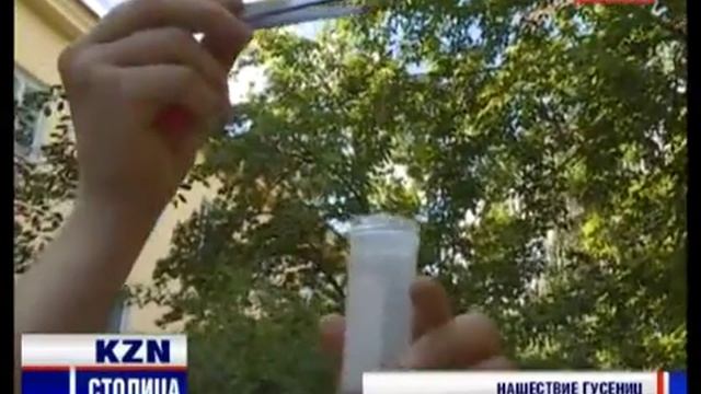 видеоролик кзн яблонная горностаевая моль смотреть онлайн