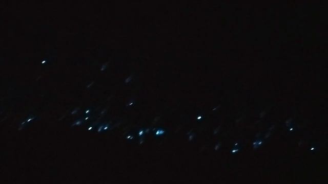 Мальдивские Планктоны смотреть онлайн