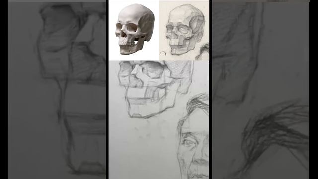 Sketch tutorial skull and face смотреть онлайн