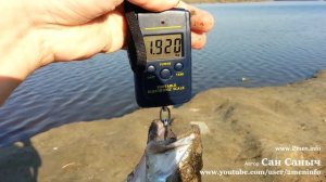 Судак на 2 килограмма озеро Оброчное в Тюмени с 1 мая всем первомай