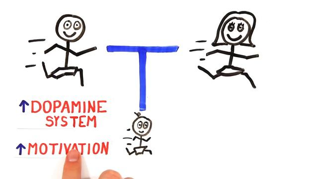 The Science Of Laziness