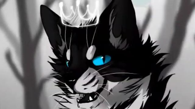 Клип Коты - Воители Ежевика и Коршун - День, ночь смотреть онлайн