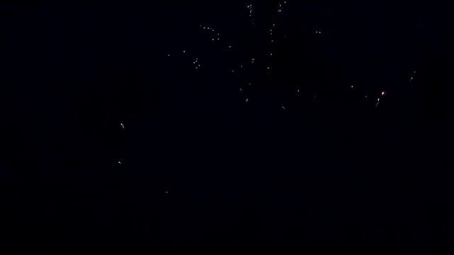 90s Silver Palm w Peach & Lemon смотреть онлайн