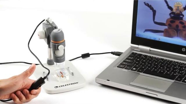 5 Best Digital Microscopes Review And Top Models Listed | With High Resolution Camera In 2023 смотреть онлайн
