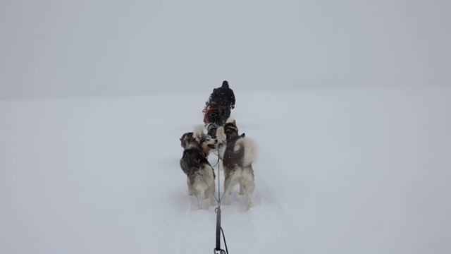 Lac gelé Mistassini de 100 km Banquise à perte de vue - CANADALASKA смотреть онлайн