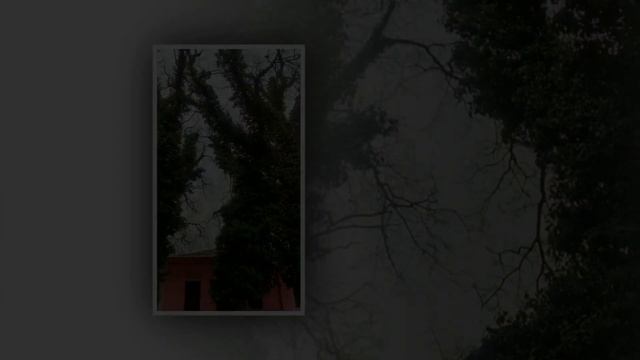 Прогулка по Керчи. Больше флоры чем достопримечательностей смотреть онлайн