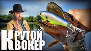 Неубиваемый КВОКЕР от Kingdom! Сравнение с Whopper Plopper от Allblue!