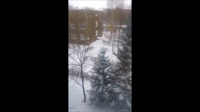 Роддом № 5 после ремонта  Барнаул