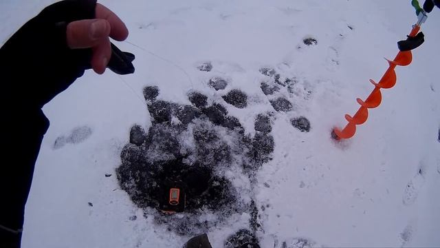 Зимняя рыбалка на Волге Ловля Судака и Берша на ратлин! смотреть онлайн