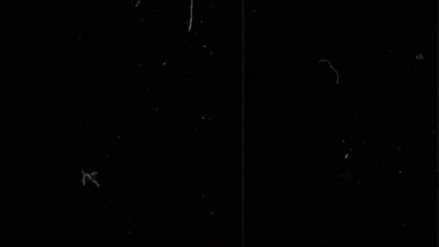 дети немой страны || multibloggers смотреть онлайн