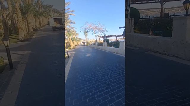 Sultan garden resort sharm смотреть онлайн