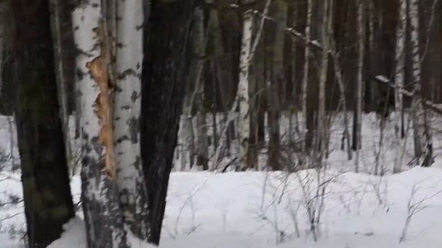 Лоси Лух смотреть онлайн